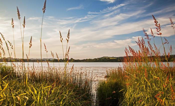 Llangorse Lake